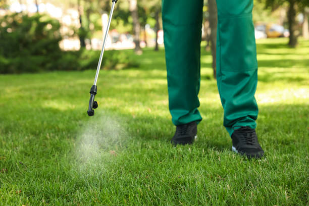 Flea Control Services in Moses Lake, WA